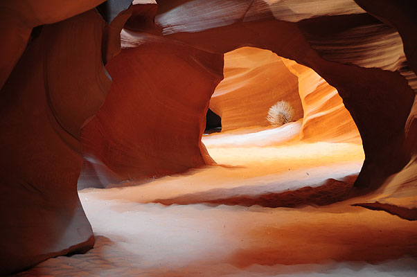 DSC_3195.jpg (4288x2848) NIKON D300 - 18-200mm f/3.5-5.6 // F5,3 // 1.6 sec // ISO 200 // 82,0 mm // no Flash // 2008:07:18 12:52:30