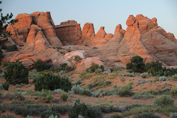 DSC_1734.jpg (4288x2848) NIKON D300 - 18-200mm f/3.5-5.6 // F4,8 // 1/30 sec // ISO 400 // 56,0 mm // no Flash // 2008:07:10 06:12:16