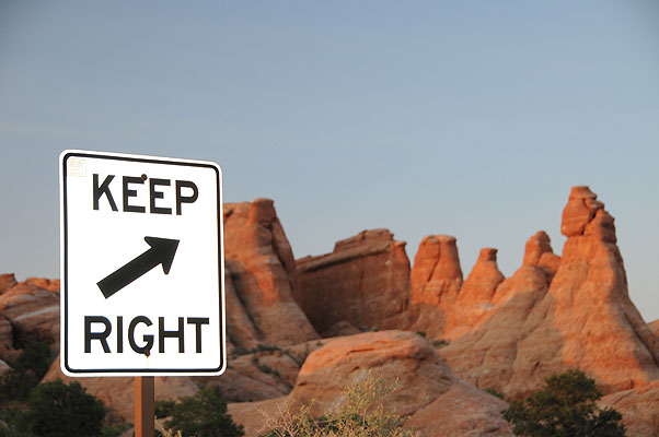 DSC_1736.jpg (4288x2848) NIKON D300 - 18-200mm f/3.5-5.6 // F4,8 // 1/60 sec // ISO 450 // 56,0 mm // Flash fired, return detected // 2008:07:10 06:16:45