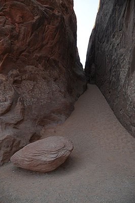 DSC_1761.jpg (4288x2848) NIKON D300 - 18-200mm f/3.5-5.6 // F4 // 1/250 sec // ISO 400 // 18,0 mm // Flash fired, return detected // 2008:07:10 08:48:48