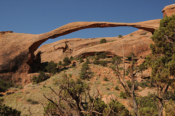 DSC_1770.jpg (4288x2848) NIKON D300 - 18-200mm f/3.5-5.6 // F9 // 1/320 sec // ISO 400 // 24,0 mm // no Flash // 2008:07:10 09:11:43