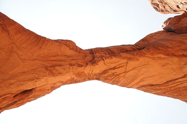 DSC_1856.jpg (4288x2848) NIKON D300 - 18-200mm f/3.5-5.6 // F6,3 // 1/160 sec // ISO 400 // 18,0 mm // no Flash // 2008:07:10 12:15:54