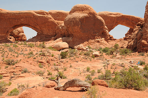 DSC_1881.jpg (4288x2848) NIKON D300 - 18-200mm f/3.5-5.6 // F8 // 1/250 sec // ISO 400 // 27,0 mm // no Flash // 2008:07:10 12:59:15