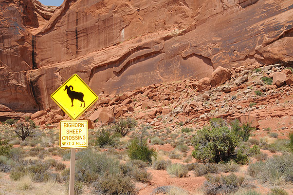 DSC_1900.jpg (4288x2848) NIKON D300 - 18-200mm f/3.5-5.6 // F9 // 1/250 sec // ISO 400 // 28,0 mm // Flash fired, return detected // 2008:07:10 13:53:07