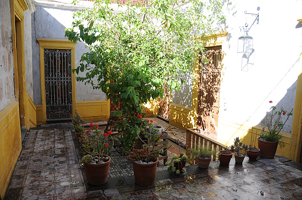 P4483.jpg (4288x2848) NIKON D300 - 18-200mm f/3.5-5.6 // F3,5 // 1/500 sec // ISO 250 // 18,0 mm // no Flash // 2010:09:16 08:05:13