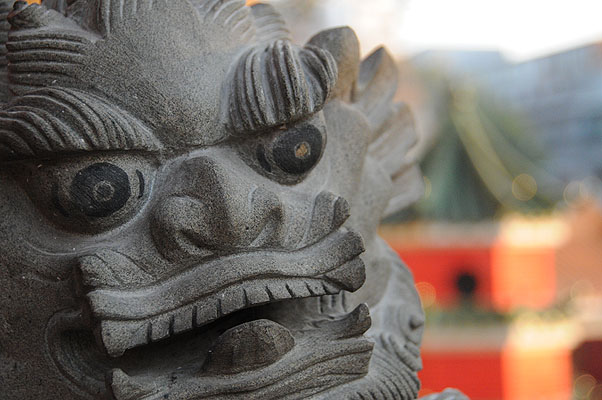 HKMM_1387.jpg (4288x2848) NIKON D300 - 18-200mm f/3.5-5.6 // F4,8 // 1/160 sec // ISO 1600 // 60,0 mm // no Flash // 2008:12:02 17:04:57