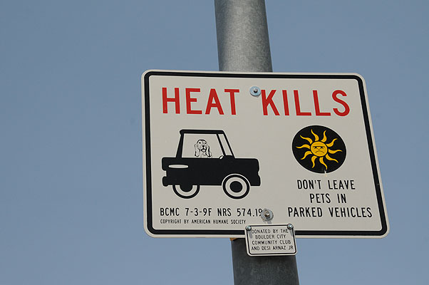 DSC_0544.jpg (4288x2848) NIKON D300 - 18-200mm f/3.5-5.6 // F9 // 1/320 sec // ISO 400 // 48,0 mm // no Flash // 2008:07:04 11:36:41