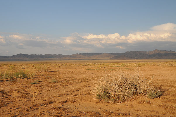 DSC_0643.jpg (4288x2848) NIKON D300 - 18-200mm f/3.5-5.6 // F9 // 1/320 sec // ISO 400 // 27,0 mm // no Flash // 2008:07:04 18:55:13