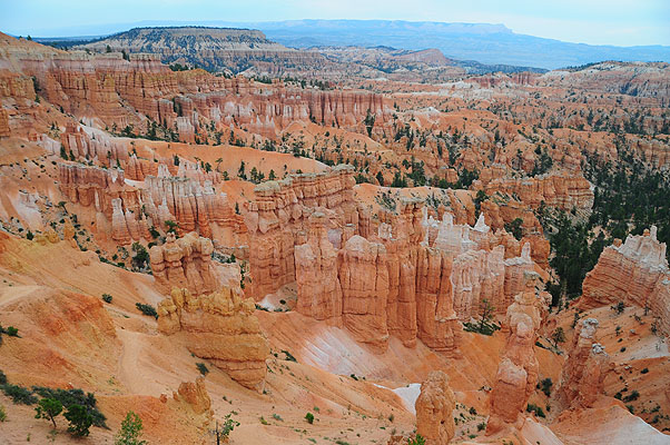 DSC_2309.jpg (4288x2848) NIKON D300 - 18-200mm f/3.5-5.6 // F6,3 // 1/160 sec // ISO 400 // 18,0 mm // no Flash // 2008:07:14 16:54:08