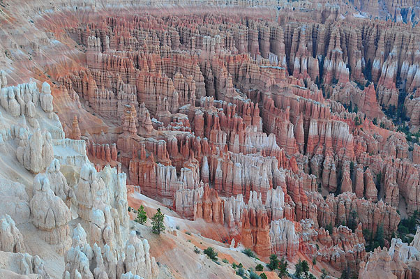 DSC_2406.jpg (4288x2848) NIKON D300 - 18-200mm f/3.5-5.6 // F16 // 2.5 sec // ISO 400 // 32,0 mm // no Flash // 2008:07:15 05:13:33