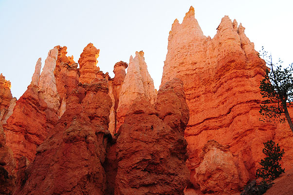 DSC_2448.jpg (4288x2848) NIKON D300 - 18-200mm f/3.5-5.6 // F5,6 // 1/125 sec // ISO 400 // 34,0 mm // no Flash // 2008:07:15 06:37:50