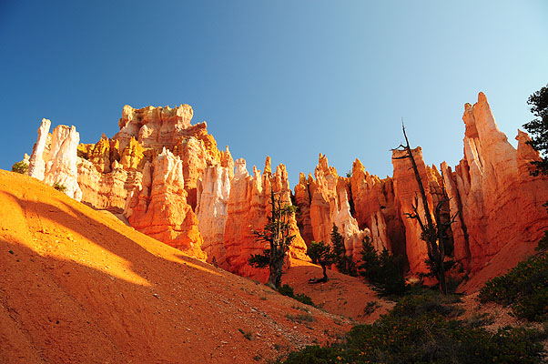 DSC_2484.jpg (4288x2848) NIKON D300 - 18-200mm f/3.5-5.6 // F6,3 // 1/160 sec // ISO 200 // 18,0 mm // no Flash // 2008:07:15 07:21:06