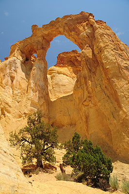 DSC_2528.jpg (4288x2848) NIKON D300 - 18-200mm f/3.5-5.6 // F8 // 1/200 sec // ISO 200 // 18,0 mm // no Flash // 2008:07:15 11:55:09