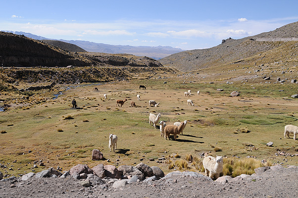 P4426.jpg (4288x2848) NIKON D300 - 18-200mm f/3.5-5.6 // F10 // 1/400 sec // ISO 200 // 24,0 mm // no Flash // 2010:09:15 14:47:02