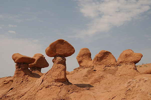 DSC_1937.jpg (4288x2848) NIKON D300 - 18-200mm f/3.5-5.6 // F10 // 1/400 sec // ISO 400 // 26,0 mm // no Flash // 2008:07:12 11:24:54