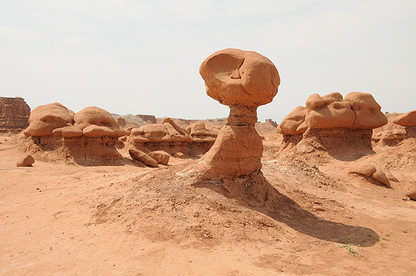 DSC_1940.jpg (4288x2848) NIKON D300 - 18-200mm f/3.5-5.6 // F9 // 1/320 sec // ISO 400 // 26,0 mm // no Flash // 2008:07:12 11:28:04