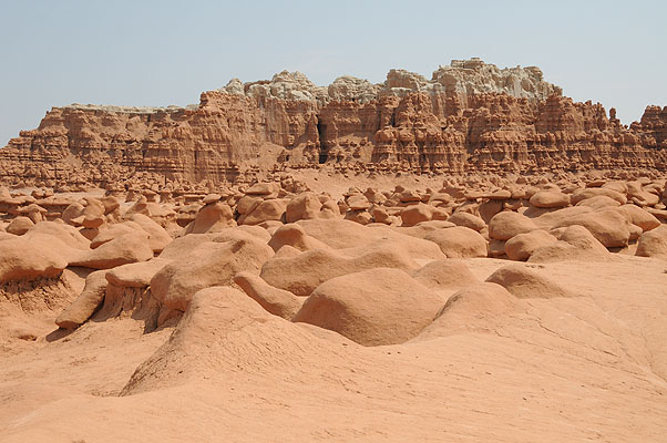 DSC_1949.jpg (4288x2848) NIKON D300 - 18-200mm f/3.5-5.6 // F9 // 1/320 sec // ISO 400 // 36,0 mm // no Flash // 2008:07:12 11:38:22