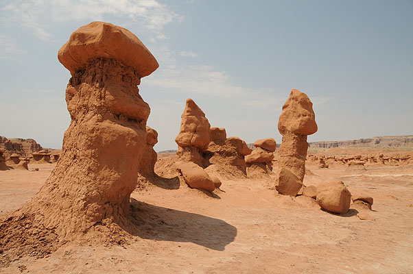 DSC_1960.jpg (4288x2848) NIKON D300 - 18-200mm f/3.5-5.6 // F10 // 1/400 sec // ISO 400 // 18,0 mm // no Flash // 2008:07:12 11:53:26