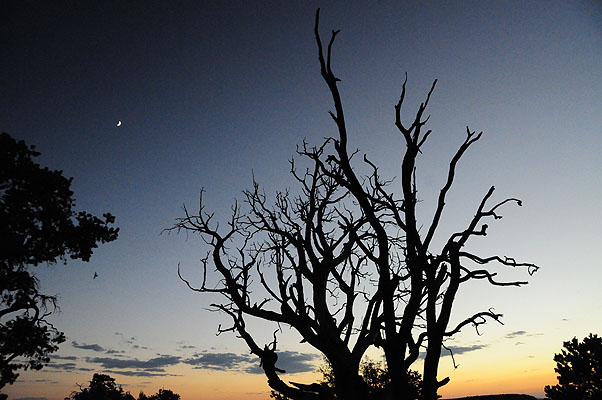 DSC_1242.jpg (4288x2848) NIKON D300 - 18-200mm f/3.5-5.6 // F5,6 // 1/125 sec // ISO 3200 // 18,0 mm // no Flash // 2008:07:07 20:02:34