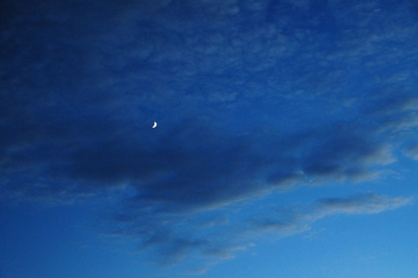 DSC_1254.jpg (4288x2848) NIKON D300 - 18-200mm f/3.5-5.6 // F4,2 // 0.1 sec // ISO 1600 // 35,0 mm // no Flash // 2008:07:07 20:15:28