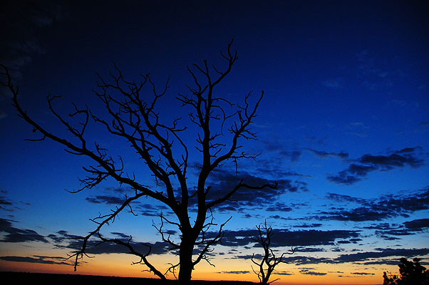 DSC_1258.jpg (4288x2848) NIKON D300 - 18-200mm f/3.5-5.6 // F3,5 // 0.04 sec // ISO 1600 // 18,0 mm // no Flash // 2008:07:07 20:18:04