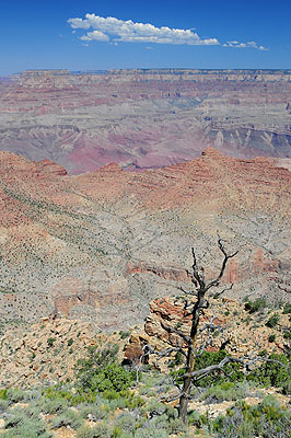 DSC_1338.jpg (4288x2848) NIKON D300 - 18-200mm f/3.5-5.6 // F8 // 1/200 sec // ISO 200 // 22,0 mm // no Flash // 2008:07:08 10:41:44