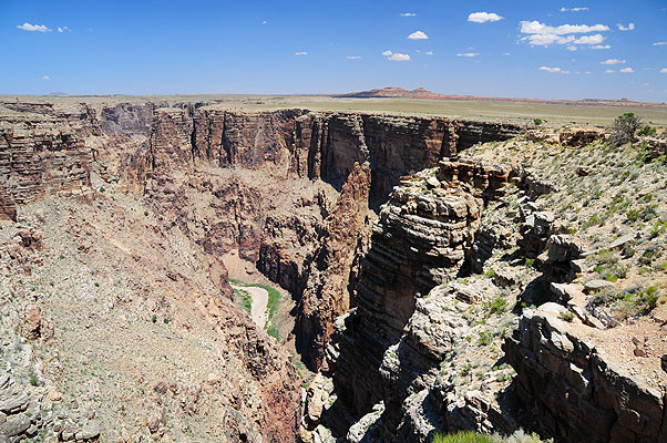 DSC_1364.jpg (4288x2848) NIKON D300 - 18-200mm f/3.5-5.6 // F7,1 // 1/200 sec // ISO 200 // 18,0 mm // no Flash // 2008:07:08 11:37:05