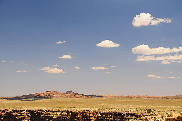 DSC_1372.jpg (4288x2848) NIKON D300 - 18-200mm f/3.5-5.6 // F7,1 // 1/200 sec // ISO 200 // 46,0 mm // no Flash // 2008:07:08 11:38:52