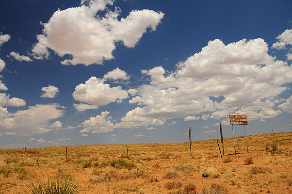 DSC_1391.jpg (4288x2848) NIKON D300 - 18-200mm f/3.5-5.6 // F9 // 1/320 sec // ISO 200 // 18,0 mm // no Flash // 2008:07:08 13:07:34