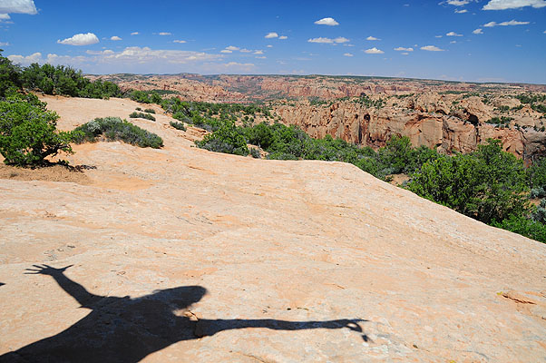 DSC_1407.jpg (4288x2848) NIKON D300 - 18-200mm f/3.5-5.6 // F7,1 // 1/200 sec // ISO 200 // 18,0 mm // no Flash // 2008:07:08 14:03:31