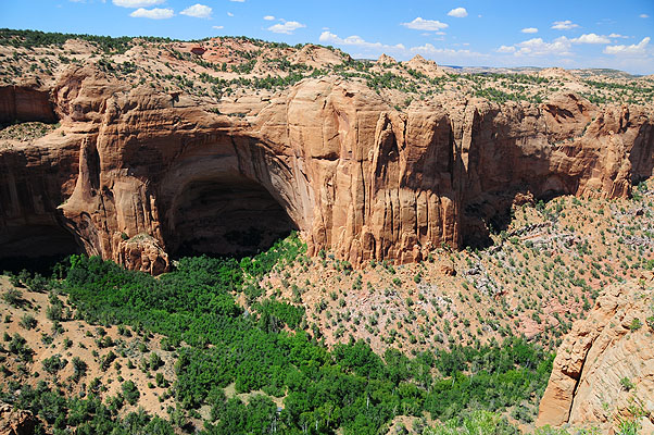 DSC_1421.jpg (4288x2848) NIKON D300 - 18-200mm f/3.5-5.6 // F7,1 // 1/200 sec // ISO 200 // 18,0 mm // no Flash // 2008:07:08 14:29:02