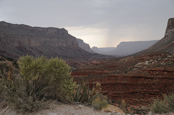 DSC_0693.jpg (4288x2848) NIKON D300 - 18-200mm f/3.5-5.6 // F4,2 // 1/30 sec // ISO 400 // 34,0 mm // no Flash // 2008:07:05 06:33:51