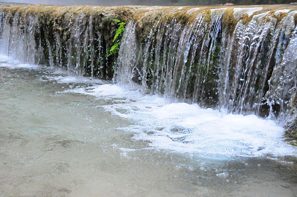 DSC_0971.jpg (4288x2848) NIKON D300 - 18-200mm f/3.5-5.6 // F4,5 // 1/400 sec // ISO Unknown (1 6400) // 46,0 mm // no Flash // 2008:07:06 07:51:32