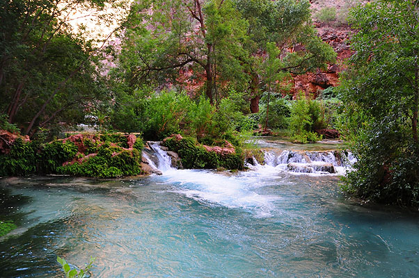 DSC_0981.jpg (4288x2848) NIKON D300 - 18-200mm f/3.5-5.6 // F4,5 // 1/80 sec // ISO 800 // 18,0 mm // no Flash // 2008:07:06 08:44:04