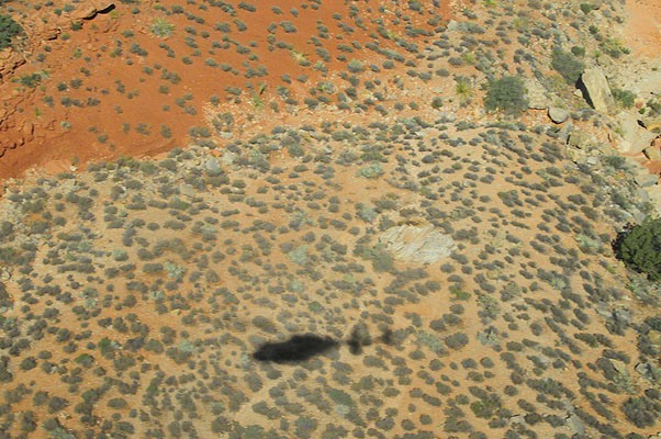 DSC_1066.jpg (4288x2848) NIKON D300 - 18-200mm f/3.5-5.6 // F10 // 1/400 sec // ISO 3200 // 42,0 mm // no Flash // 2008:07:07 09:41:44 DSC_1066.jpg (4288x2848) NIKON D300 - 18-200mm f/3.5-5.6 // F10 // 1/400 sec // ISO 3200 // 42,0 mm // no Flash // 2008:07:07 09:41:44