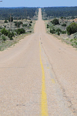 DSC_1079.jpg (4288x2848) NIKON D300 - 18-200mm f/3.5-5.6 // F16 // 1/1000 sec // ISO 3200 // 200,0 mm // no Flash // 2008:07:07 10:32:17