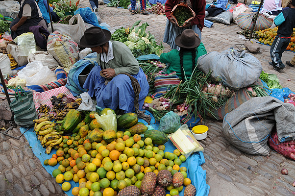 P1547.jpg (4288x2848) NIKON D300 - 18-200mm f/3.5-5.6 // F6,3 // 1/320 sec // ISO 200 // 18,0 mm // no Flash // 2010:09:05 10:04:26