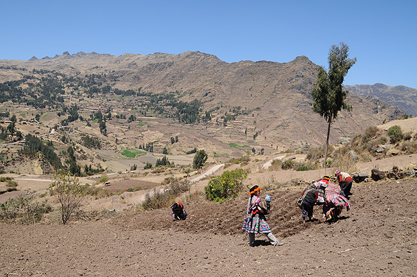 P3113.jpg (4288x2848) NIKON D300 - 18-200mm f/3.5-5.6 // F9 // 1/320 sec // ISO 200 // 18,0 mm // no Flash // 2010:09:10 11:27:18