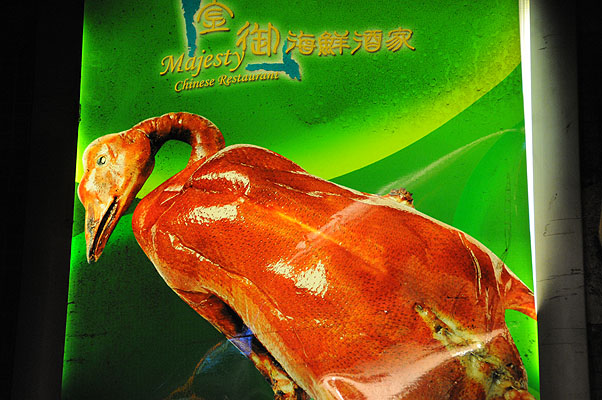 HKMM_0104.jpg (4288x2848) NIKON D300 - 18-200mm f/3.5-5.6 // F5 // 1/40 sec // ISO 1600 // 82,0 mm // no Flash // 2008:11:29 20:43:51