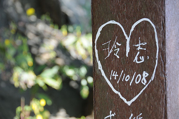 HKMM_0375.jpg (4288x2848) NIKON D300 - 18-200mm f/3.5-5.6 // F5 // 1/250 sec // ISO 800 // 80,0 mm // no Flash // 2008:11:30 12:42:18