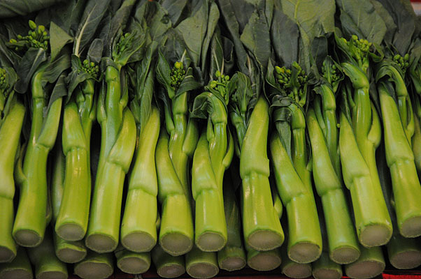 HKMM_1043.jpg (4288x2848) NIKON D300 - 18-200mm f/3.5-5.6 // F5,6 // 1/30 sec // ISO 1600 // 170,0 mm // no Flash // 2008:12:01 12:11:26