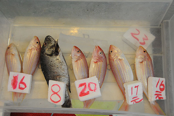 HKMM_1045.jpg (4288x2848) NIKON D300 - 18-200mm f/3.5-5.6 // F4,2 // 1/60 sec // ISO 1600 // 32,0 mm // no Flash // 2008:12:01 12:12:42