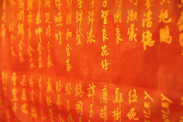 HKMM_1151.jpg (4288x2848) NIKON D300 - 18-200mm f/3.5-5.6 // F5 // 1/13 sec // ISO 3200 // 75,0 mm // no Flash // 2008:12:01 17:10:58