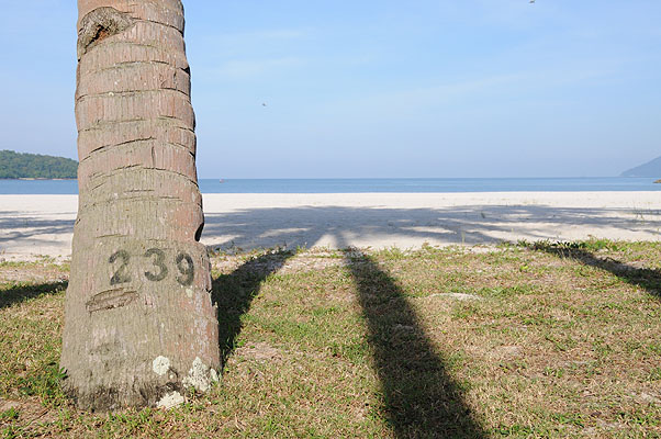 HKMM_1583.jpg (4288x2848) NIKON D300 - 18-200mm f/3.5-5.6 // F11 // 1/500 sec // ISO 400 // 32,0 mm // no Flash // 2008:12:04 09:20:11