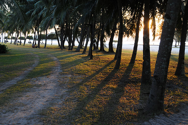 HKMM_1672.jpg (4288x2848) NIKON D300 - 18-200mm f/3.5-5.6 // F5 // 0.01 sec // ISO 400 // 34,0 mm // no Flash // 2008:12:05 18:48:50