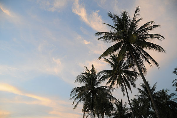 HKMM_1701.jpg (4288x2848) NIKON D300 - 18-200mm f/3.5-5.6 // F4 // 0.01 sec // ISO 400 // 18,0 mm // no Flash // 2008:12:05 19:08:29