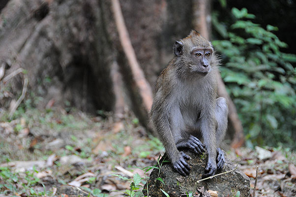 HKMM_1779.jpg (4288x2848) NIKON D300 - 18-200mm f/3.5-5.6 // F5,3 // 0.01 sec // ISO 1600 // 90,0 mm // no Flash // 2008:12:06 12:54:36