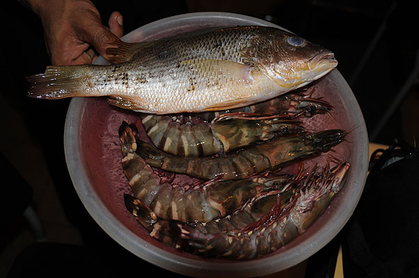 HKMM_2146.jpg (4288x2848) NIKON D300 - 18-200mm f/3.5-5.6 // F4 // 1/60 sec // ISO 400 // 28,0 mm // Flash fired, return detected // 2008:12:07 20:05:14