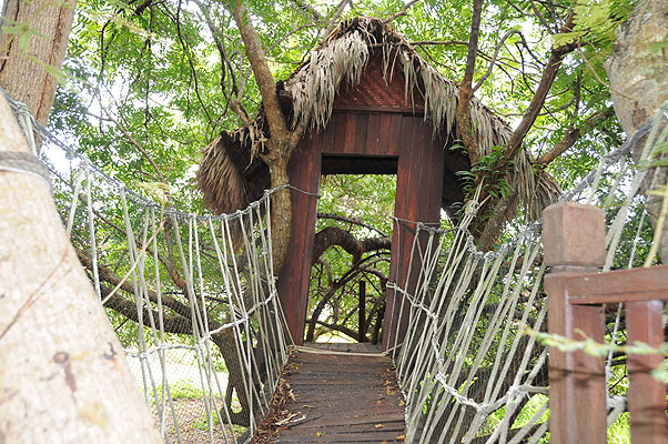 HKMM_2218.jpg (4288x2848) NIKON D300 - 18-200mm f/3.5-5.6 // F4 // 1/60 sec // ISO 400 // 20,0 mm // Flash fired, return detected // 2008:12:08 12:01:06