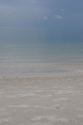 HKMM_2261.jpg (4288x2848) NIKON D300 - 18-200mm f/3.5-5.6 // F7,1 // 1/200 sec // ISO 400 // 36,0 mm // no Flash // 2008:12:08 18:29:46